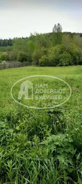 Участок в Пермский край, Очерский городской округ, д. Березово ул. ... - Фото 0