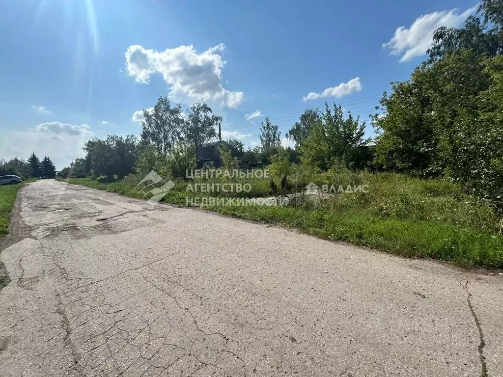 Участок в Рязанская область, Михайловский муниципальный округ, с. ... - Фото 2