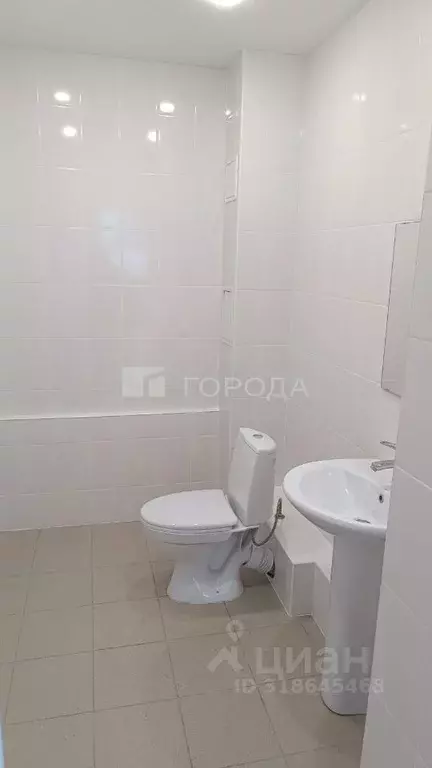 Помещение свободного назначения в Новосибирская область, Новосибирск ... - Фото 1