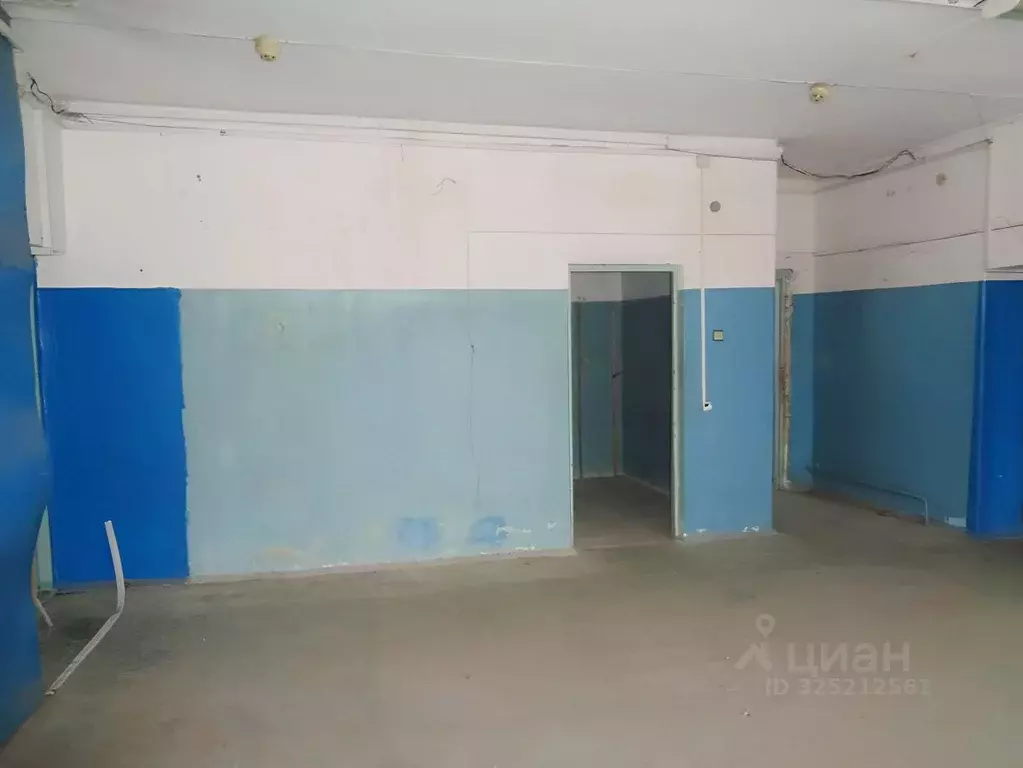 Помещение свободного назначения в Брянская область, Брянск Гомельская ... - Фото 2