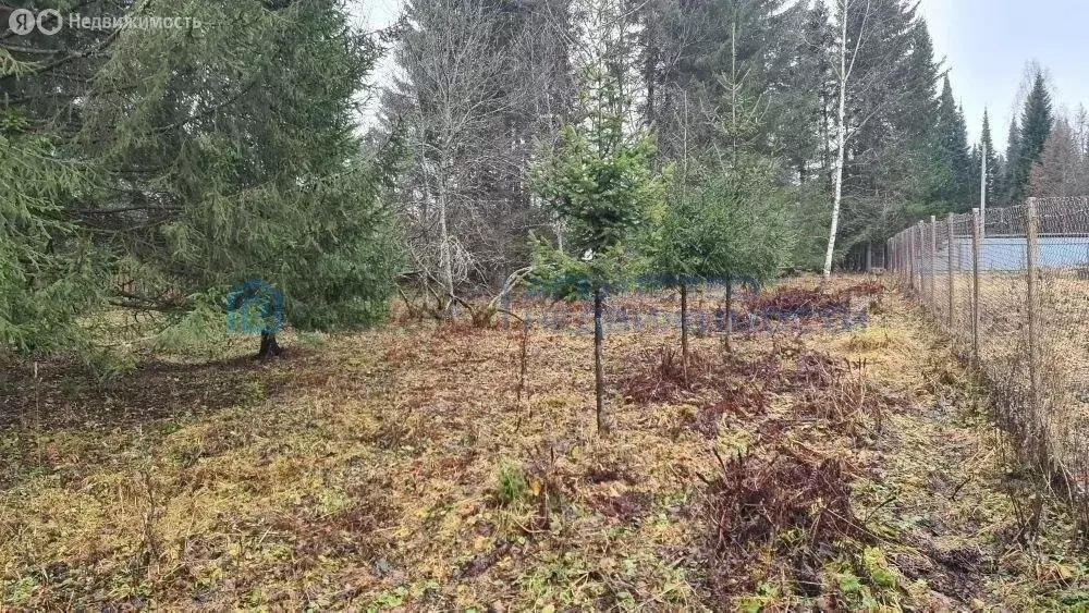 Участок в село Ассы, Хуторская улица (15.64 м) - Фото 1