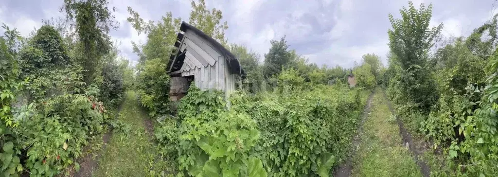 Участок в Башкортостан, Стерлитамак Дружба СНТ,  (3.8 сот.) - Фото 1