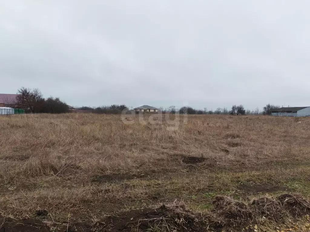 Участок в Краснодарский край, Ейский район, с. Кухаривка ул. Свободы ... - Фото 1