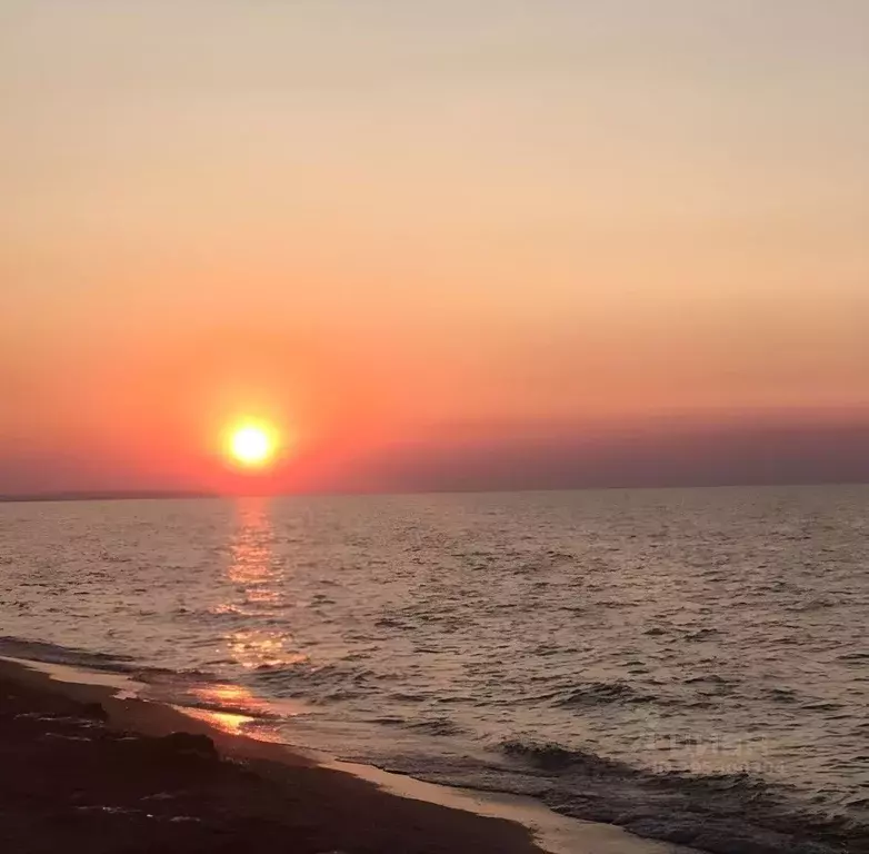 Участок в Крым, Ленинский район, Мысовское с/пос, с. Семеновка ул. ... - Фото 1