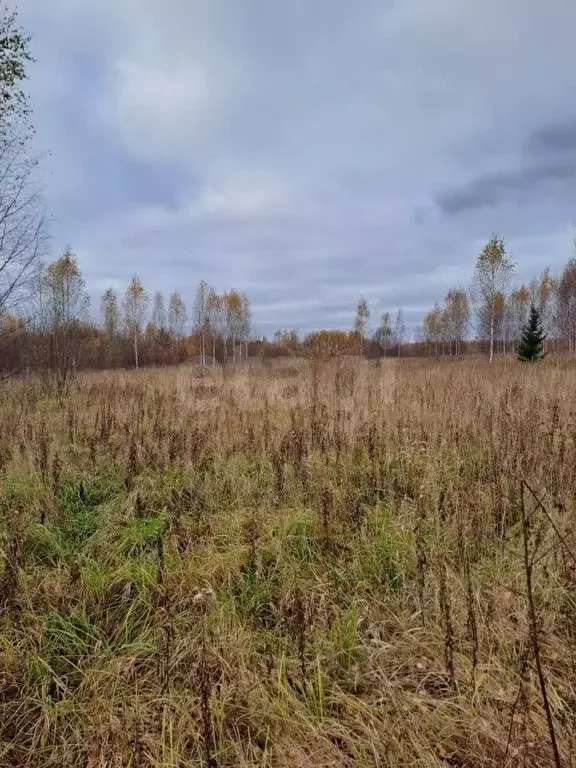 Участок в Костромская область, Шарья городской округ, д. Алешунино ул. ... - Фото 1