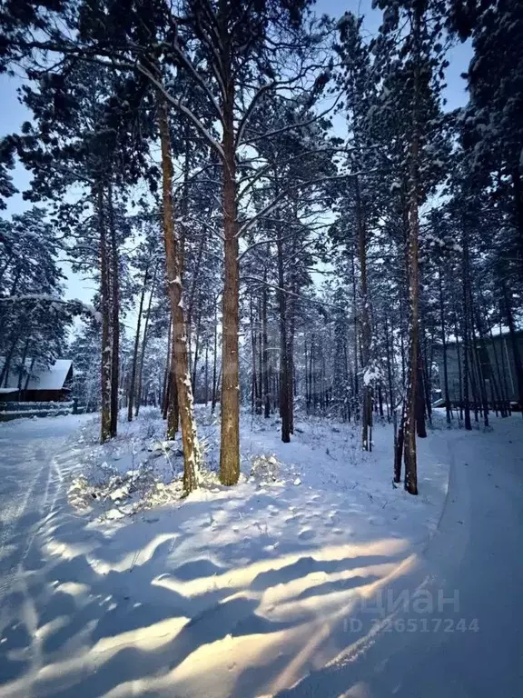 Участок в Саха (Якутия), Якутск Сосновый бор ДСК,  (10.0 сот.) - Фото 1