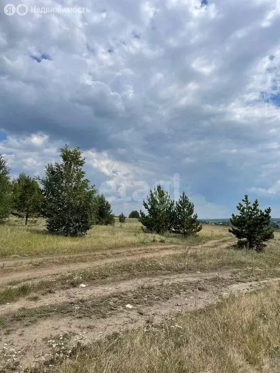 Участок в Яраткуловское сельское поселение, садоводческий кооператив ... - Фото 1