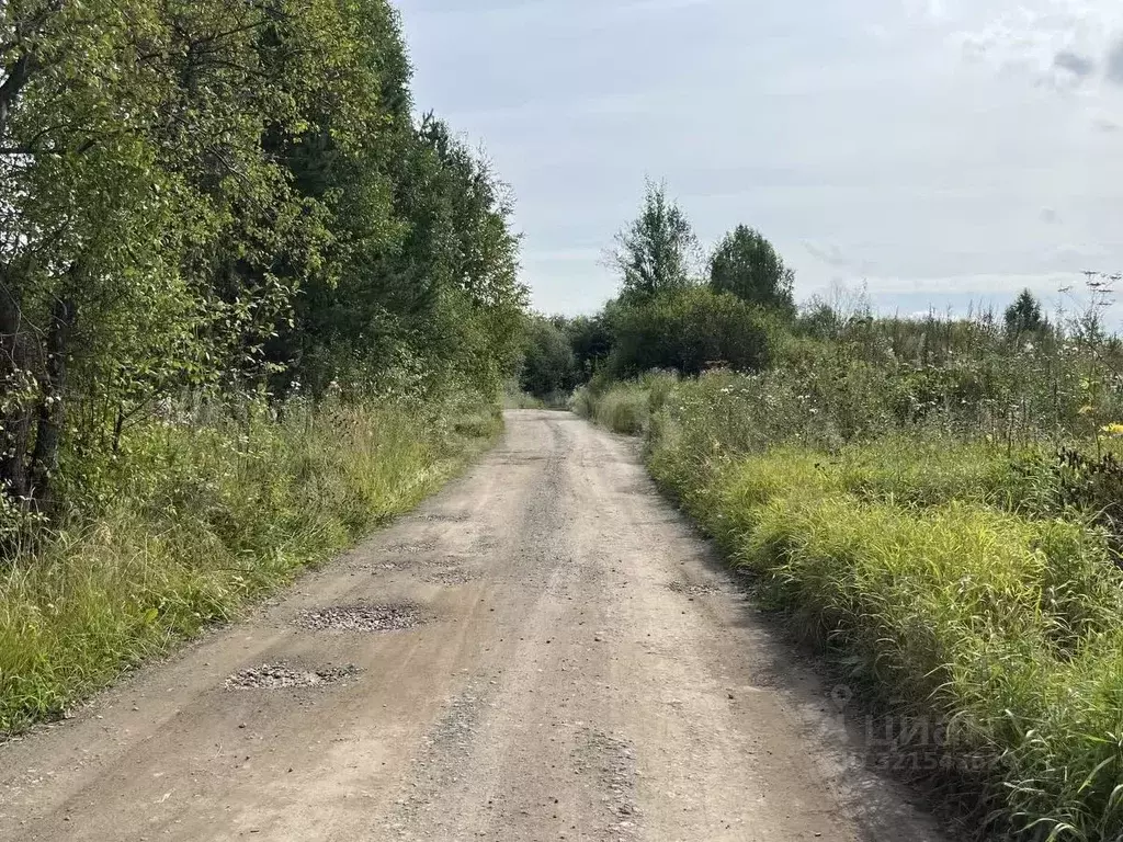 Участок в Свердловская область, Нижний Тагил ул. Задорожная (10.0 ... - Фото 1