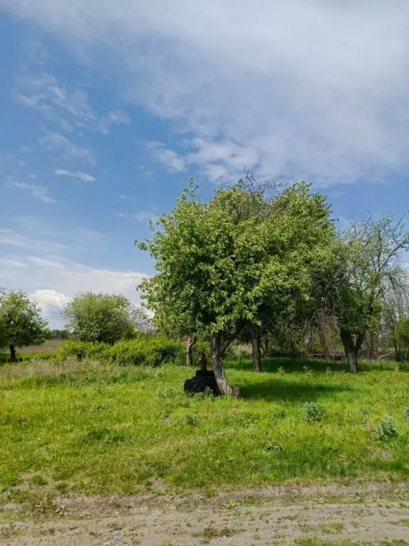 Участок в Курская область, Курский район, Щетинский сельсовет, д. ... - Фото 0