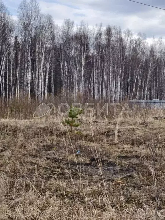 Участок в Тюменская область, Нижнетавдинский муниципальный округ, ... - Фото 1