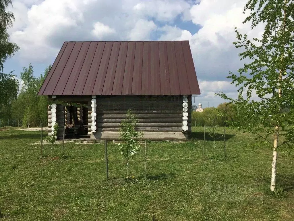 Участок в Новгородская область, Новгородский район, Савинское с/пос, ... - Фото 2