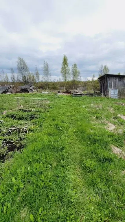 Дом в Тверская область, Западная Двина Параллельная ул., 25 (48 м) - Фото 1
