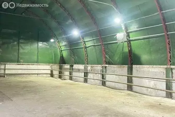 Помещение свободного назначения (450 м) - Фото 1