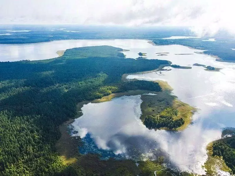 Участок в Тверская область, Осташковский муниципальный округ, д. ... - Фото 1