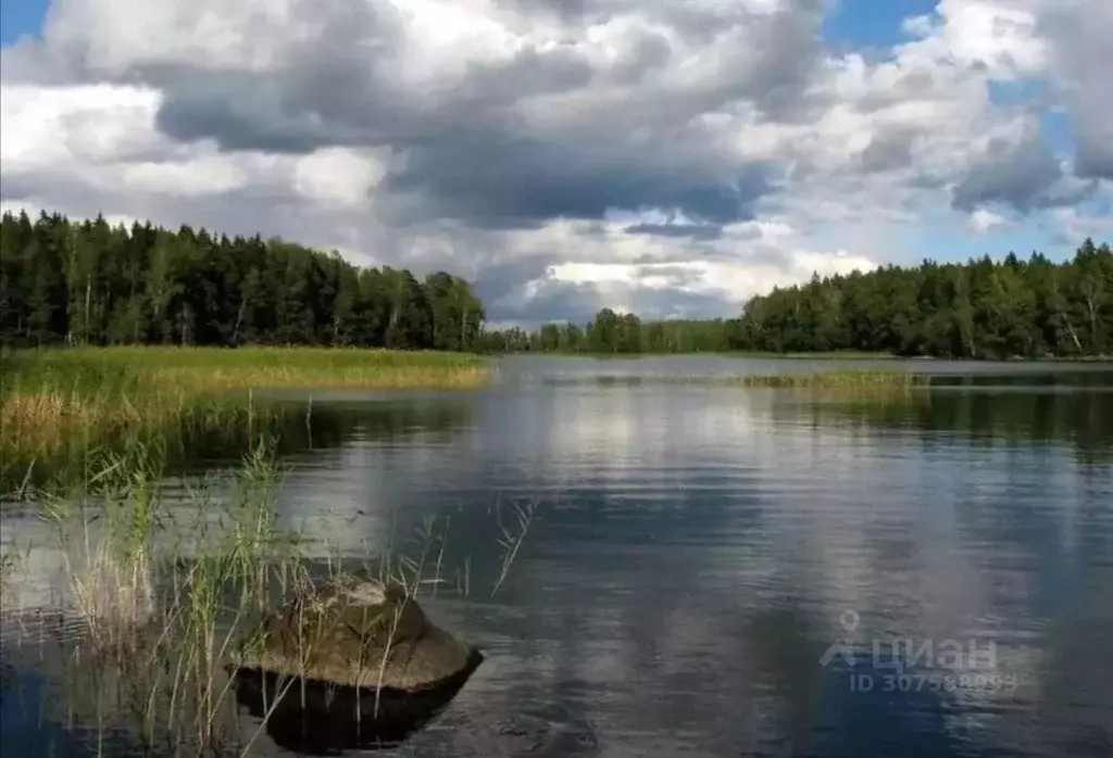 Участок в Ленинградская область, Всеволожский район, Куйвозовское ... - Фото 1