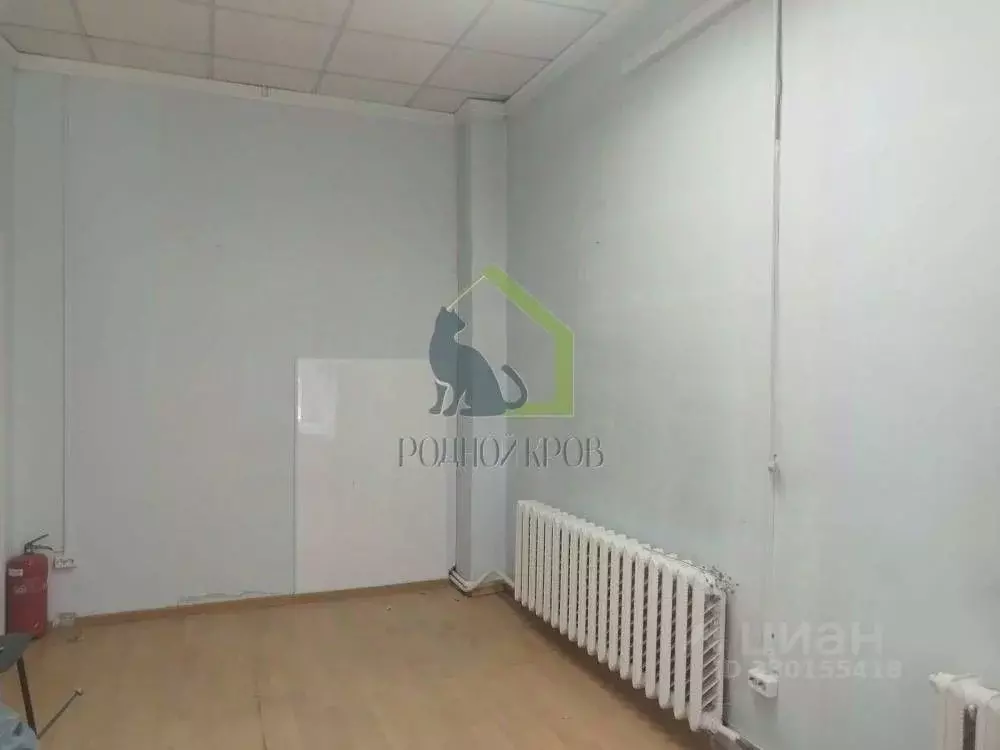 Офис в Самарская область, Сызрань ул. Кирова, 46 (38 м) - Фото 1