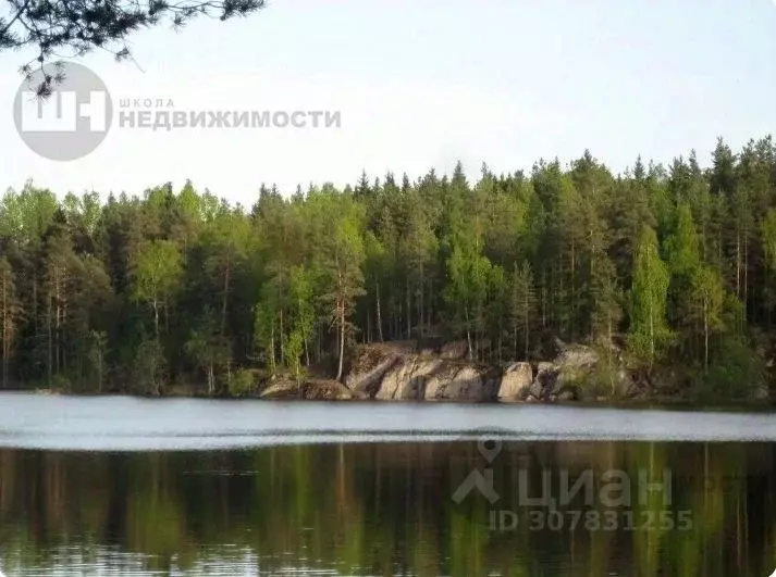 Участок в Ленинградская область, Приозерский район, Запорожское с/пос, ... - Фото 0