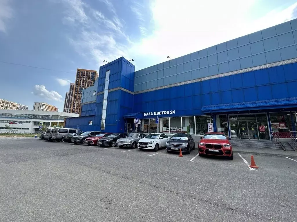 Торговая площадь в Московская область, Одинцовский городской округ, ... - Фото 2