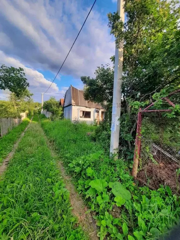 Участок в Марий Эл, Йошкар-Ола Тюльпан СНТ, 205 (4.0 сот.) - Фото 1