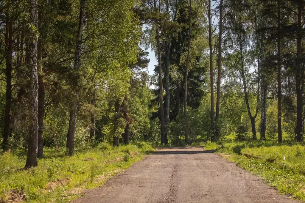 Участок в Московская область, Ступино городской округ, с. Ивановское  ... - Фото 1