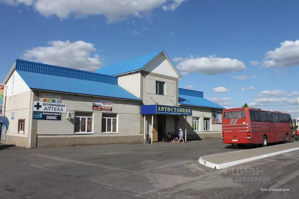 Помещение свободного назначения в Белгородская область, Поселок ... - Фото 2