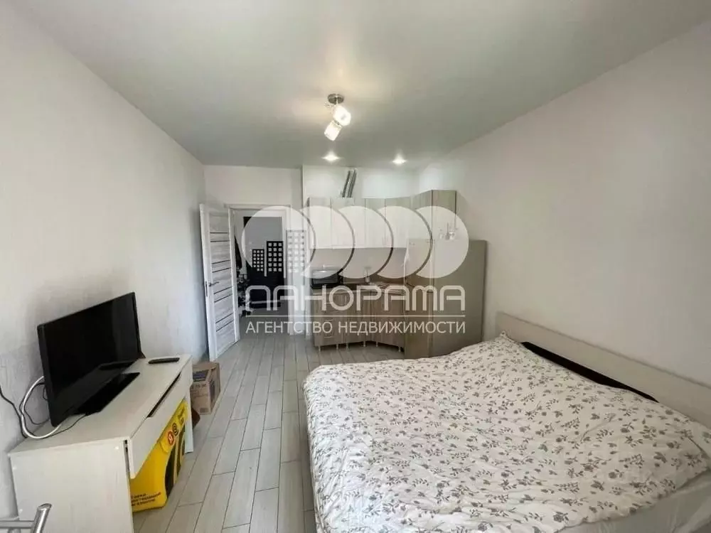 Студия Краснодарский край, Анапа Парковая ул., 61к4 (26.0 м) - Фото 0