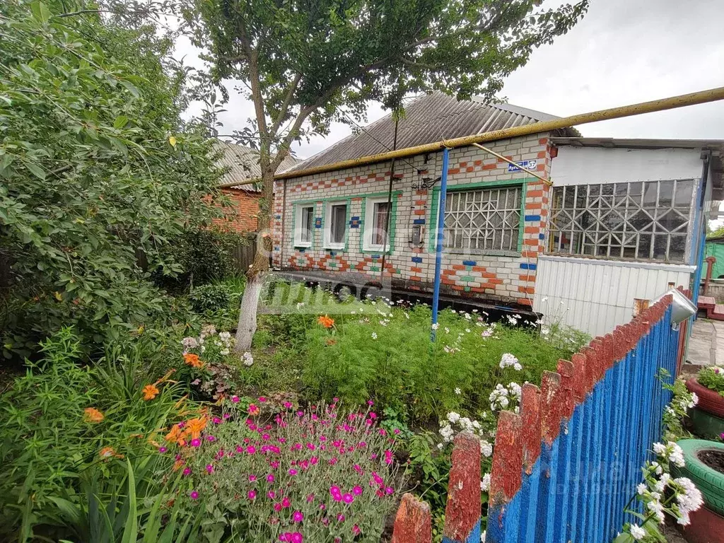 Дом в Белгородская область, Губкинский городской округ, с. Уколово ул. ... - Фото 0