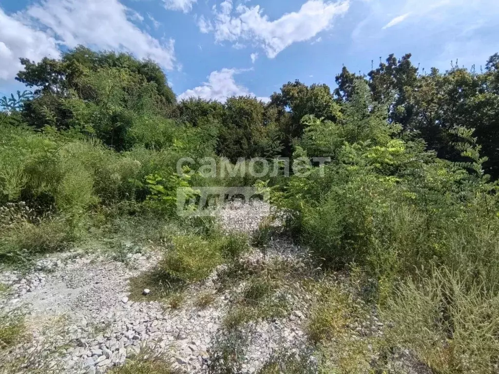 Участок в Краснодарский край, Туапсинский муниципальный округ, с. ... - Фото 1