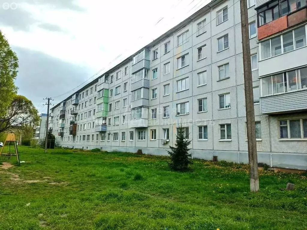 1-комнатная квартира: деревня Григорово, Центральная улица, 9 (30 м) - Фото 0
