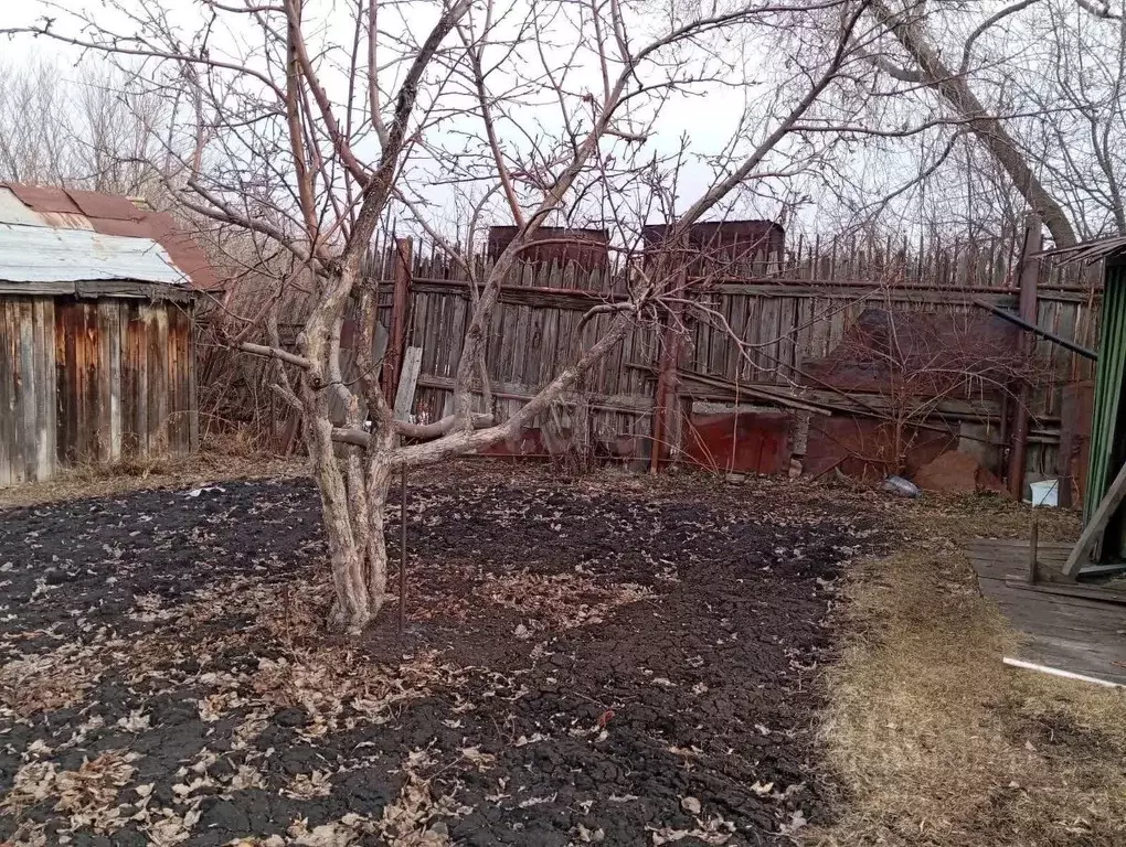 Участок в Свердловская область, Кушва Металлург-4 садовое дачное ... - Фото 1