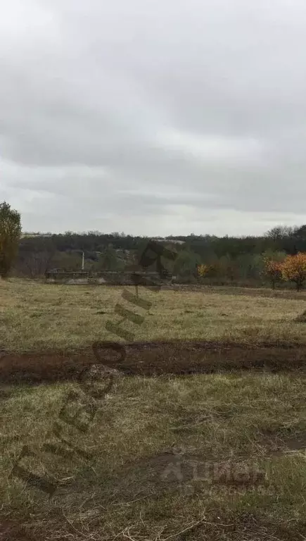 Участок в Белгородская область, Белгородский район, Новосадовское ... - Фото 0