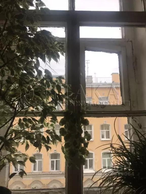 5-к кв. Санкт-Петербург Спасский пер., 9/24 (135.5 м) - Фото 2