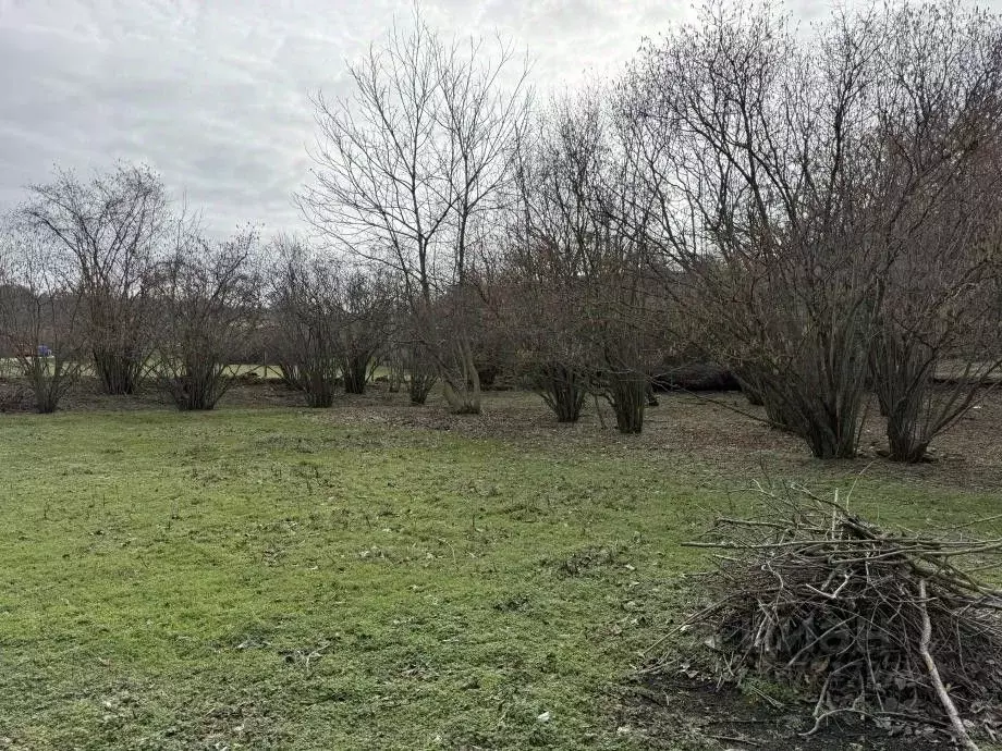 Участок в Крым, Бахчисарайский район, Куйбышевское с/пос, с. Высокое ... - Фото 1