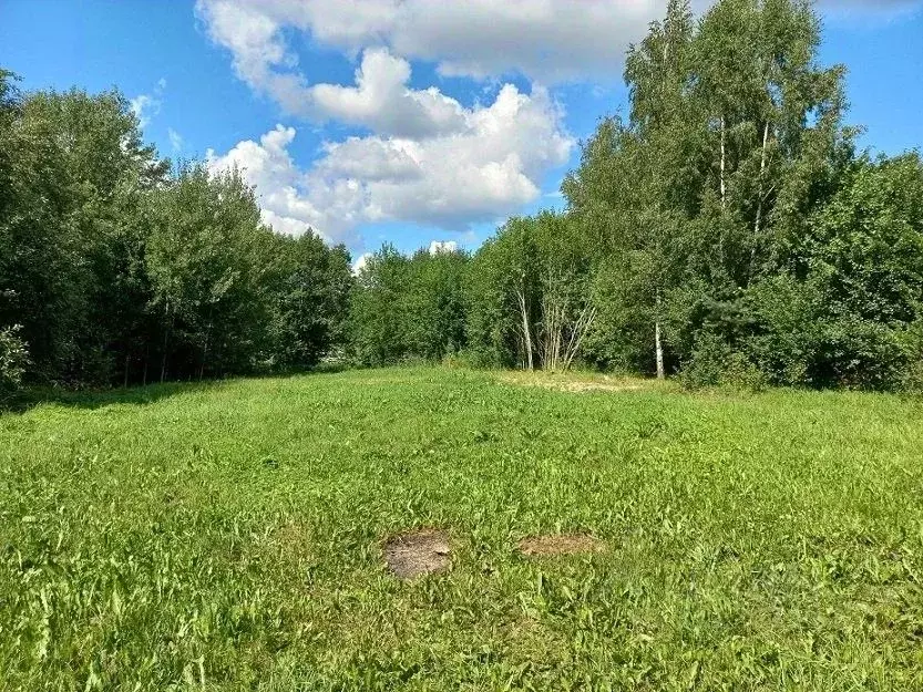 Участок в Ленинградская область, Приозерский район, Красноозерное ... - Фото 1