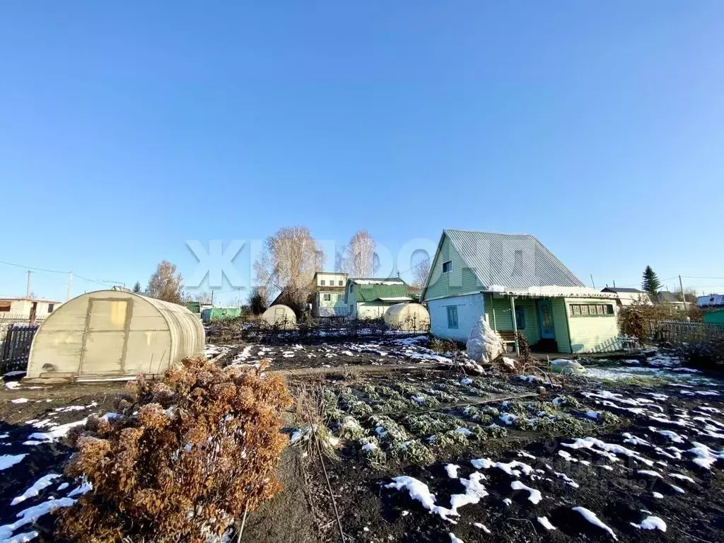 Дом в Новосибирская область, Тогучинский район, Горный рп, Новинка СНП ... - Фото 2