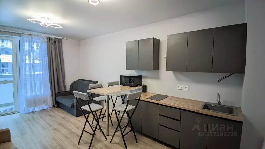 Студия Краснодарский край, Сочи ул. Искры, 66/9к7 (26.0 м) - Фото 1