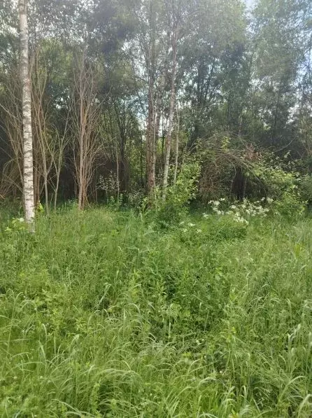 Участок в Московская область, Орехово-Зуевский городской округ, д. ... - Фото 1
