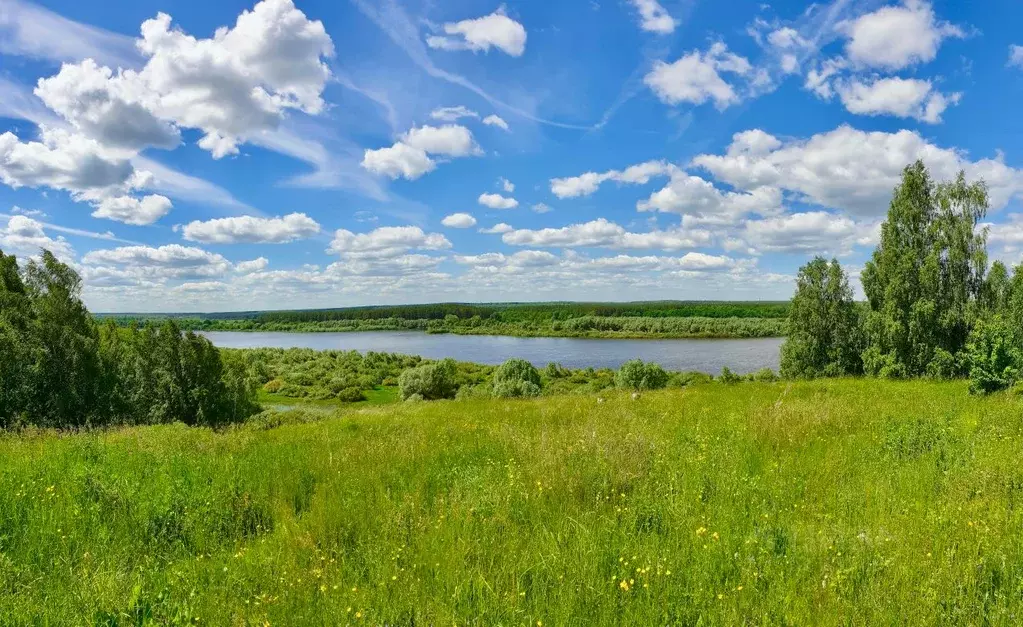 Деревня Поповка Касимовский район Рязанская область