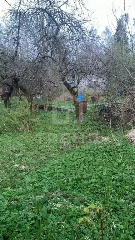 Участок в Ропшинское сельское поселение, садоводческий массив Новая ... - Фото 0