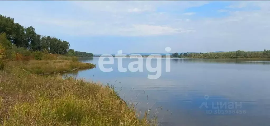 участок в красноярский край, емельяновский район, с. частоостровское . - Фото 0