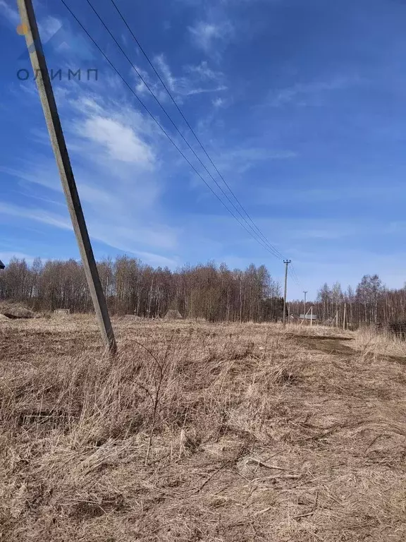 Участок в Вологодская область, пос. Грибково ул. Янтарная (12.0 сот.) - Фото 1
