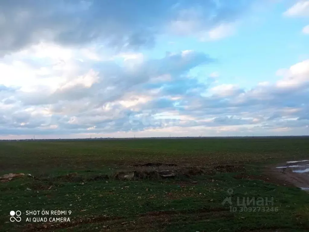 Участок в Крым, Сакский район, с. Суворовское ул. Суворовская, 1А ... - Фото 0