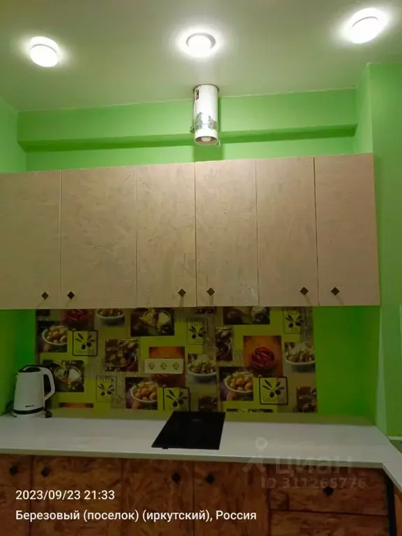 2-к кв. Иркутская область, Иркутский муниципальный округ, Маркова рп, ... - Фото 1