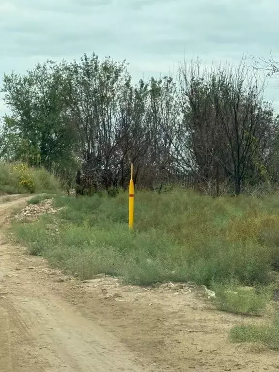 Участок в Астраханская область, Приволжский район, с. Карагали  (6.0 ... - Фото 2