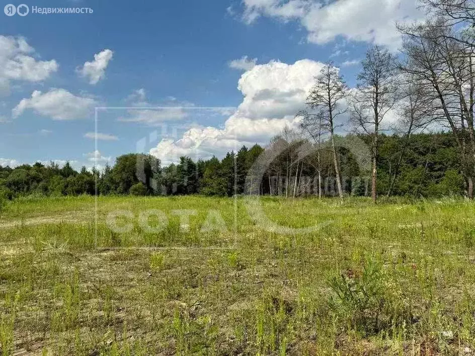 Участок в Воронеж, Лесной проезд (42 м) - Фото 1
