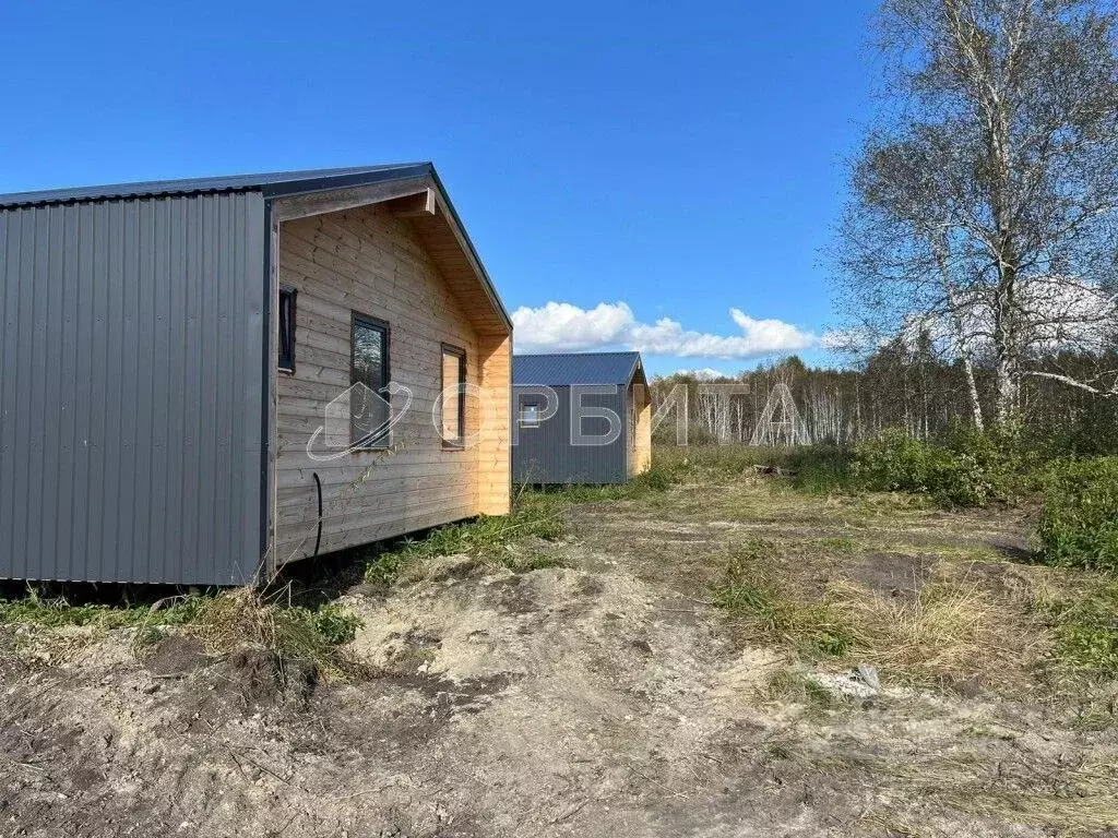 Участок в Тюменская область, Тюмень Плодовое СНТ, ул. Утренняя, 6 (4.2 ... - Фото 2