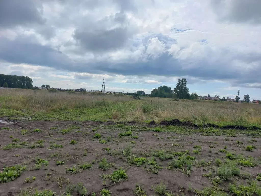 Участок в Новосибирская область, Новосибирский район, Морской ... - Фото 2