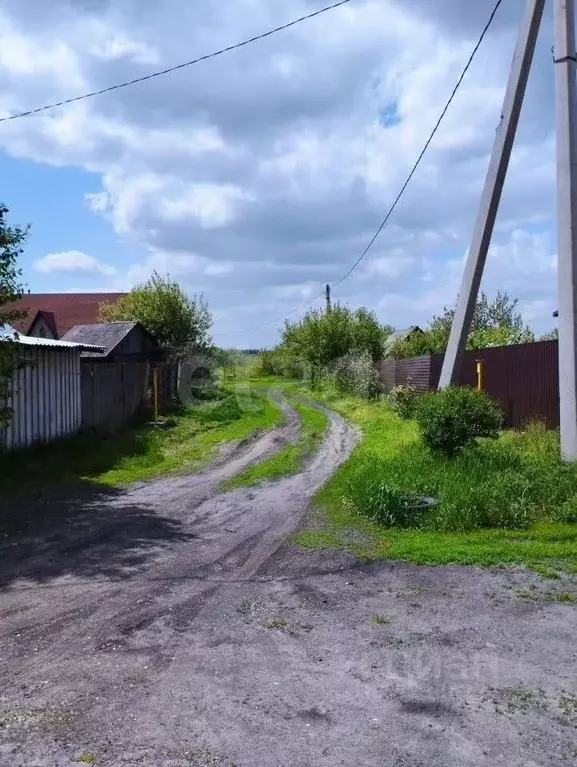 Участок в Алтайский край, Новоалтайск пос. Токарево,  (10.0 сот.) - Фото 2