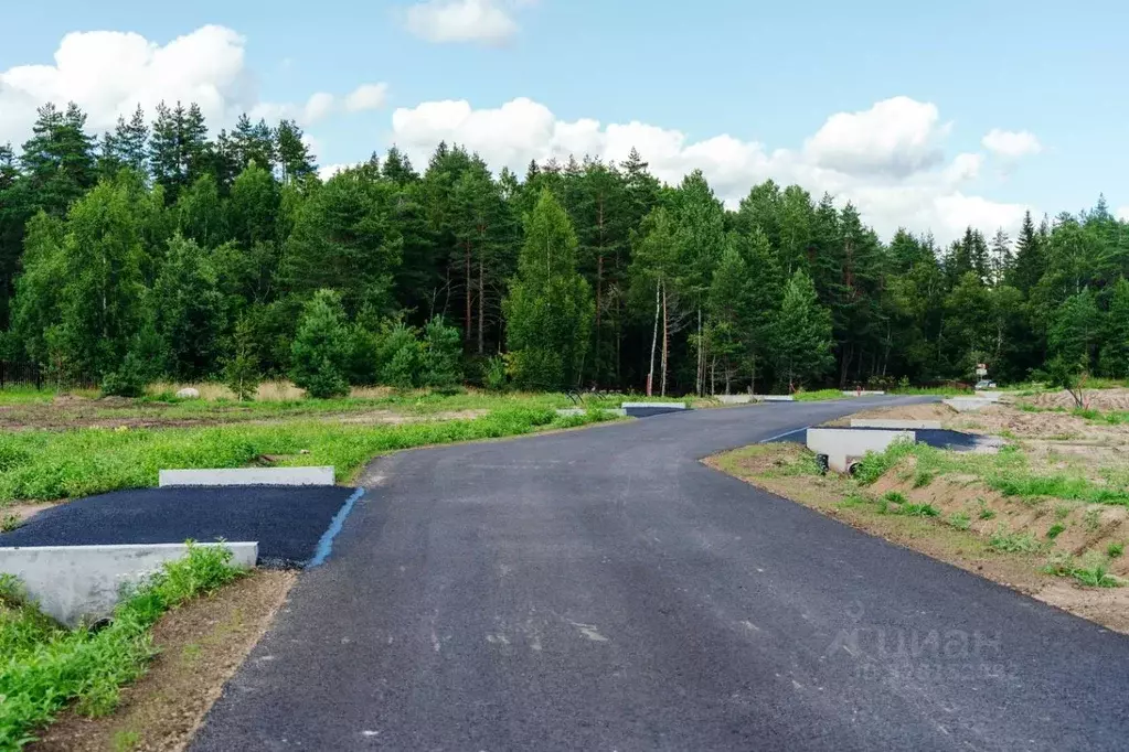 Участок в Ленинградская область, Выборгский район, Первомайское с/пос, ... - Фото 2