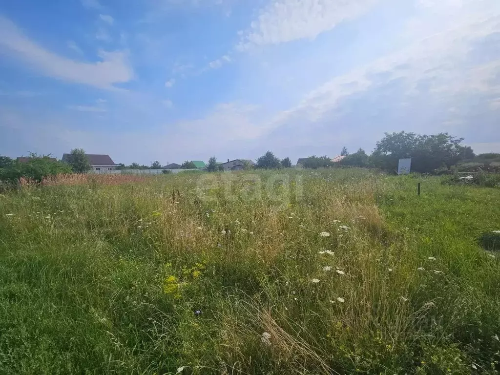 Участок в Белгородская область, Губкин ул. Алая Заря (15.0 сот.) - Фото 1